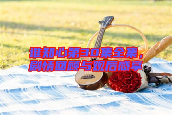 誰(shuí)知心第30集全集,劇情回顧與觀(guān)后感享