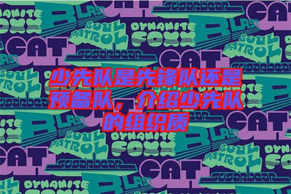 少先隊是先鋒隊還是預備隊,介紹少先隊的組織質