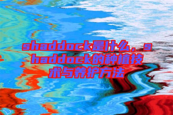 shaddock是什么，shaddock的種植技術與養護方法