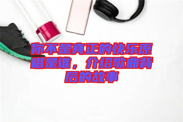 你不是真正的快樂原唱是誰，介紹歌曲背后的故事