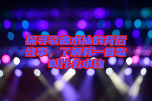 探尋歌曲水仙的背后故事，了解有一首歌叫什么水仙