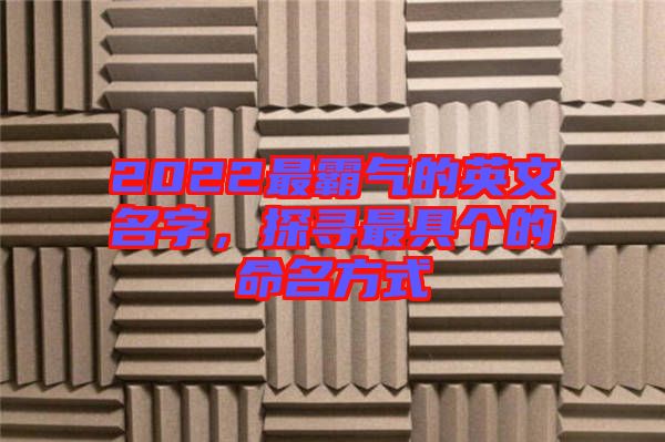 2022最霸氣的英文名字,探尋最具個(gè)的命名方式