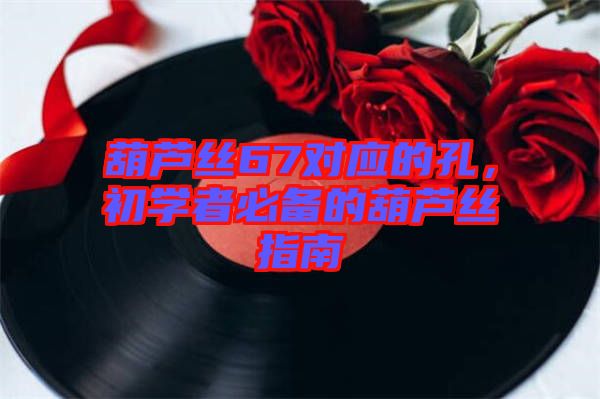 葫蘆絲67對應的孔，初學者必備的葫蘆絲指南