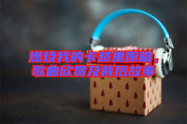 燃燒我的卡路里原唱，歌曲欣賞及背后故事