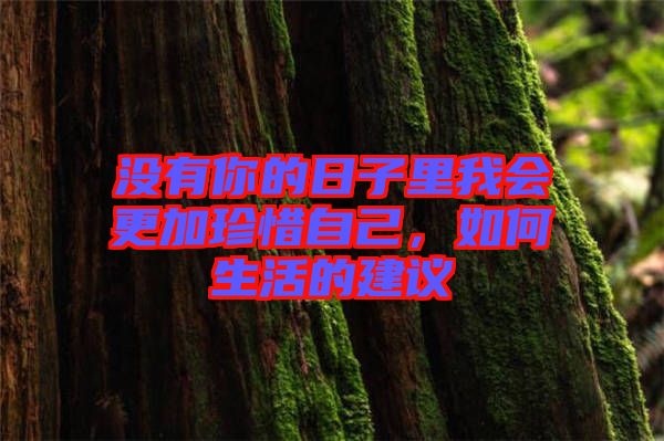 沒有你的日子里我會更加珍惜自己,如何生活的建議