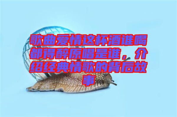 歌曲愛情這杯酒誰(shuí)喝都得醉原唱是誰(shuí),介紹經(jīng)典情歌的背后故事