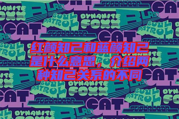 紅顏知己和藍顏知己是什么意思，介紹兩種知己關系的不同