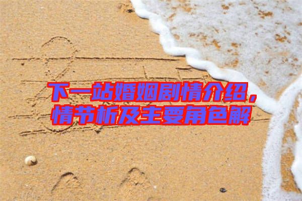 下一站婚姻劇情介紹，情節(jié)析及主要角色解