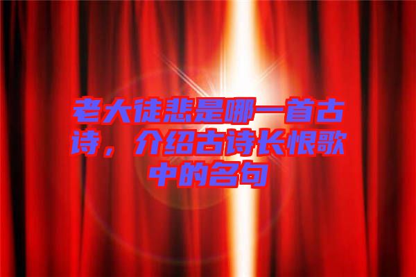 老大徒悲是哪一首古詩(shī),介紹古詩(shī)長(zhǎng)恨歌中的名句