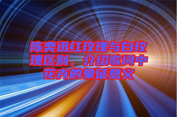 陳奕迅紅玫瑰與白玫瑰區別，介紹歌詞中花卉的象征意義