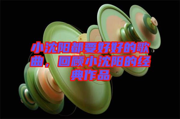 小沈陽都要好好的歌曲，回顧小沈陽的經(jīng)典作品