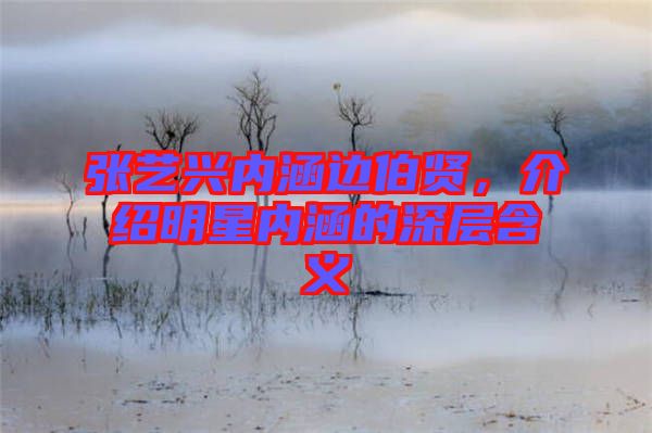 張藝興內(nèi)涵邊伯賢，介紹明星內(nèi)涵的深層含義