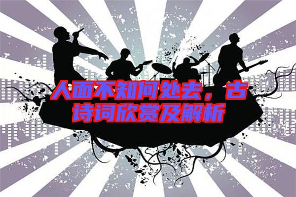 人面不知何處去，古詩詞欣賞及解析