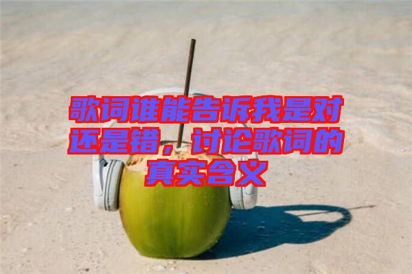歌詞誰能告訴我是對(duì)還是錯(cuò),討論歌詞的真實(shí)含義