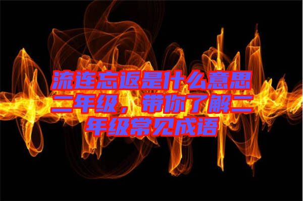 流連忘返是什么意思二年級(jí),帶你了解二年級(jí)常見(jiàn)成語(yǔ)