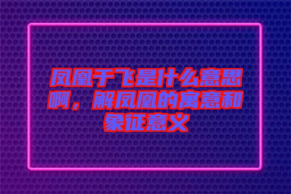鳳凰于飛是什么意思啊，解鳳凰的寓意和象征意義