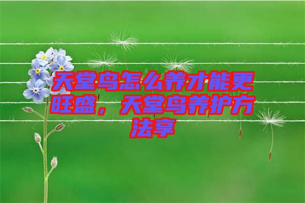 天堂鳥怎么養才能更旺盛，天堂鳥養護方法享