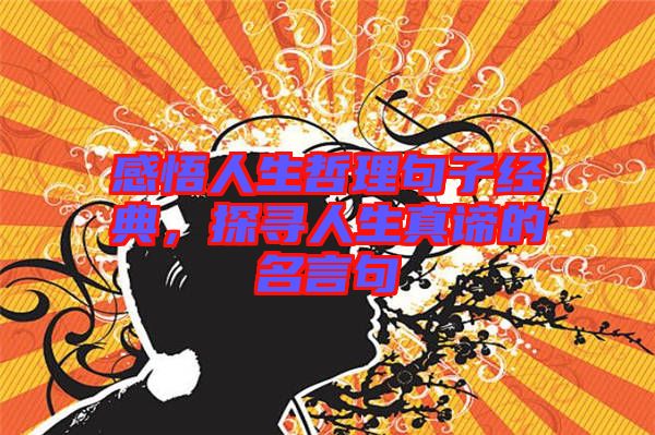 感悟人生哲理句子經(jīng)典,探尋人生真諦的名言句