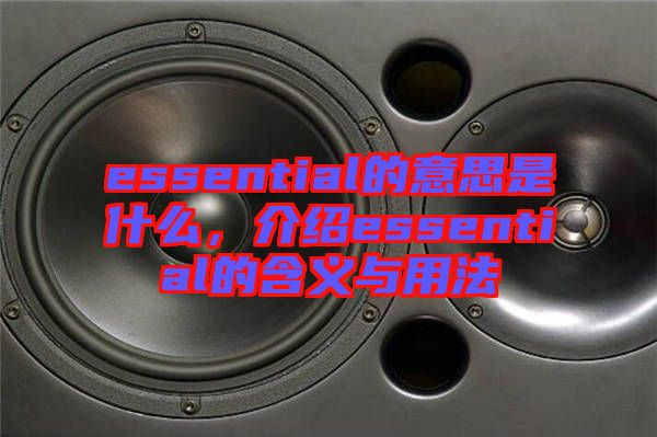 essential的意思是什么，介紹essential的含義與用法