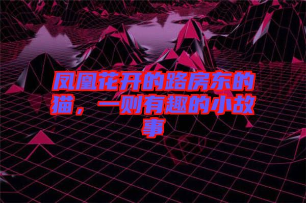 鳳凰花開的路房東的貓，一則有趣的小故事