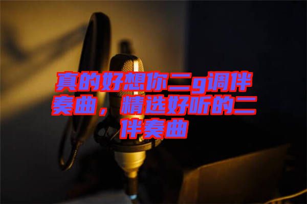 真的好想你二g調伴奏曲,精選好聽的二伴奏曲
