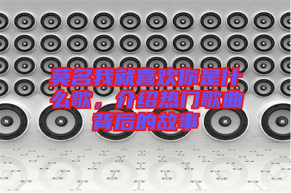 莫名我就喜歡你是什么歌，介紹熱門歌曲背后的故事