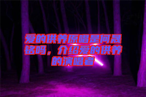 愛的供養原唱是何晟銘嗎,介紹愛的供養的演唱者