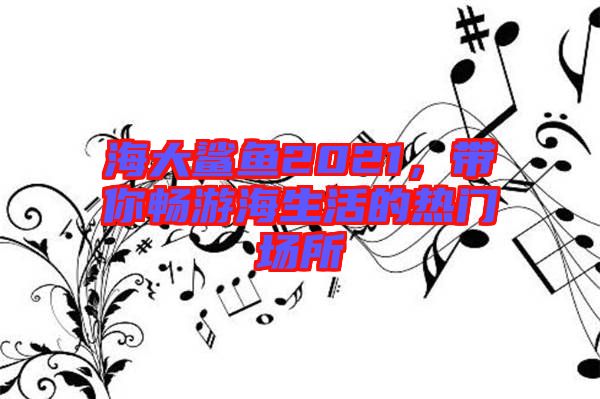 海大鯊魚(yú)2021,帶你暢游海生活的熱門場(chǎng)所