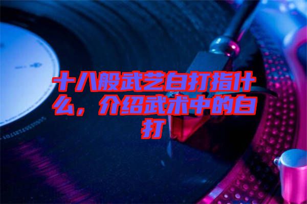 十八般武藝白打指什么,介紹武術中的白打