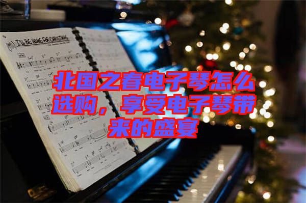 北國之春電子琴怎么選購，享受電子琴帶來的盛宴