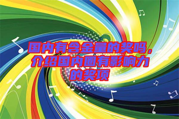 國內有含金量的獎嗎，介紹國內圈有影響力的獎項