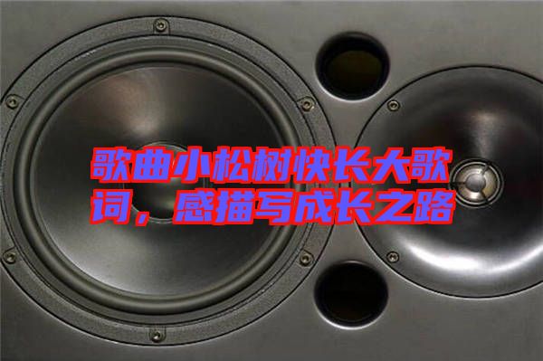 歌曲小松樹快長大歌詞，感描寫成長之路