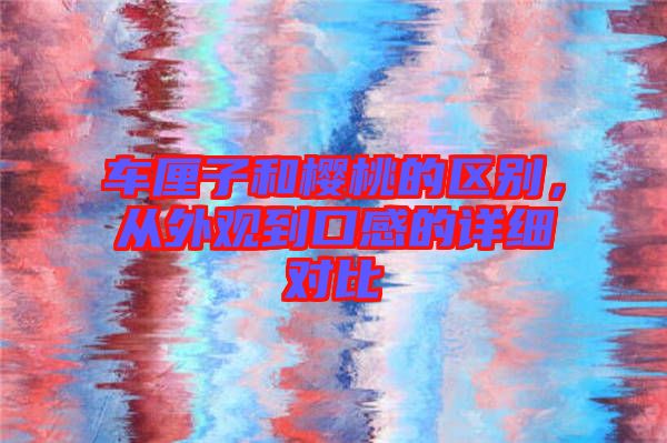 車(chē)?yán)遄雍蜋烟业膮^(qū)別，從外觀到口感的詳細(xì)對(duì)比