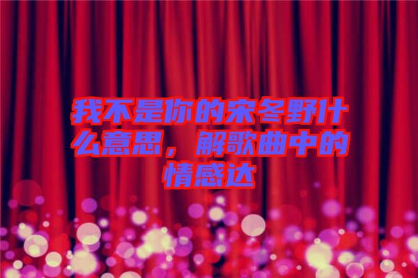 我不是你的宋冬野什么意思，解歌曲中的情感達