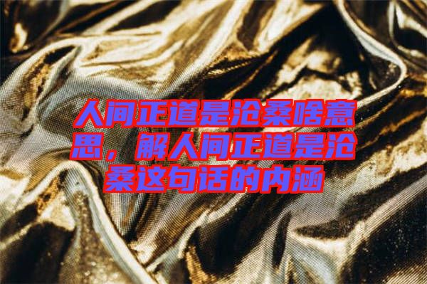 人間正道是滄桑啥意思,解人間正道是滄桑這句話的內(nèi)涵