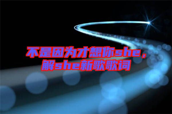 不是因為才想你she，解she新歌歌詞