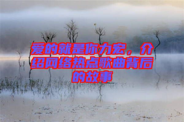 愛的就是你力宏，介紹網絡熱點歌曲背后的故事