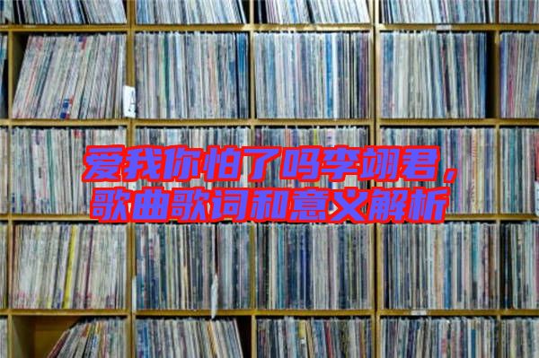 愛我你怕了嗎李翊君，歌曲歌詞和意義解析