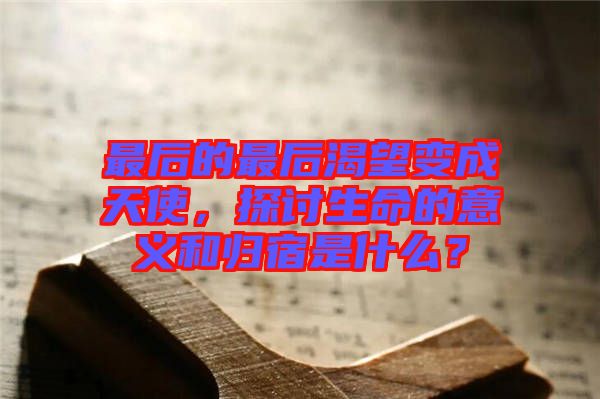 最后的最后渴望變成天使，探討生命的意義和歸宿是什么？