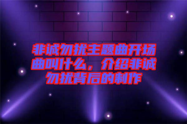 非誠勿擾主題曲開場曲叫什么，介紹非誠勿擾背后的制作