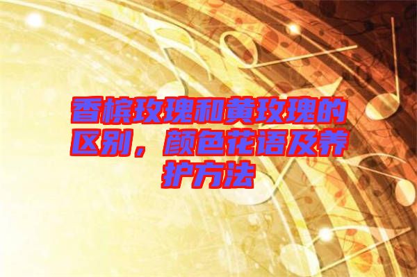 香檳玫瑰和黃玫瑰的區(qū)別,顏色花語及養(yǎng)護(hù)方法