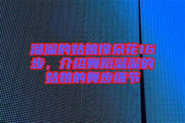 溜溜的姑娘像朵花16步，介紹舞蹈溜溜的姑娘的舞步細節
