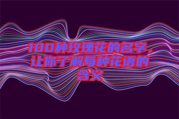 100種玫瑰花的名字，讓你了解每種花語的含義