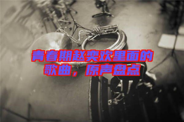 青春期趙奕歡里面的歌曲,原聲盤點