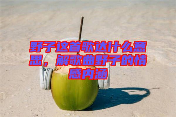 野子這首歌達什么意思，解歌曲野子的情感內涵