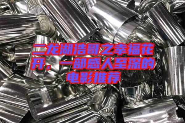 二龍湖浩哥之幸福花開(kāi),一部感人至深的電影推薦