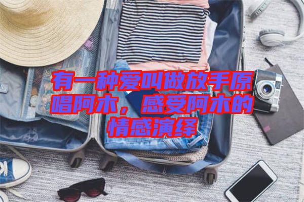 有一種愛叫做放手原唱阿木，感受阿木的情感演繹