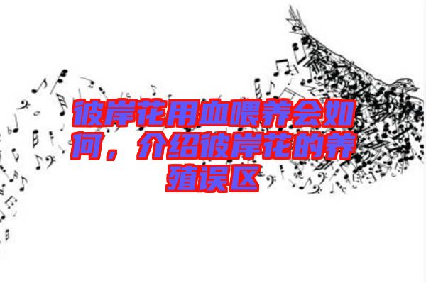 彼岸花用血喂養會如何，介紹彼岸花的養殖誤區