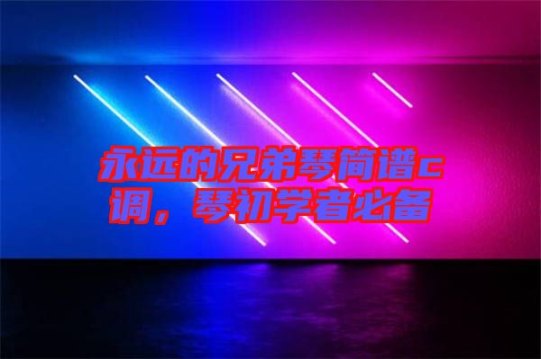 永遠的兄弟琴簡譜c調,琴初學者必備