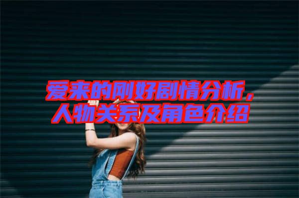 愛來的剛好劇情分析，人物關系及角色介紹